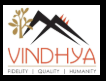Vindhya E-Infomedia Pvt Ltd logo